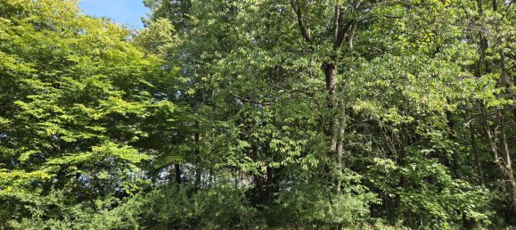 Terreno en Regensburg, Germany No. 266905 8