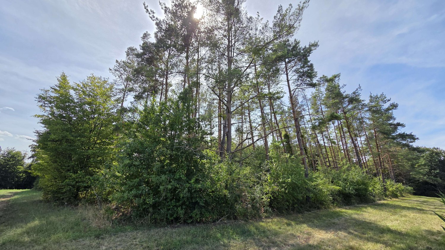 Terreno en Regensburg, Germany No. 266905