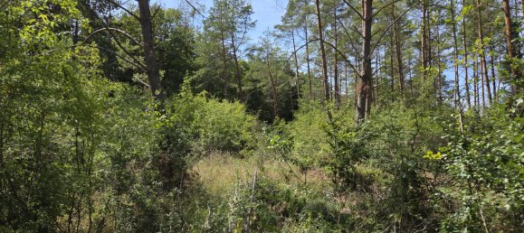 Terreno en Regensburg, Germany No. 266905 5