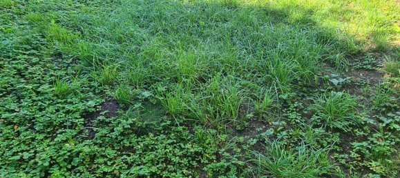 1070m² Land in Altotting, Germany No. 334002 4