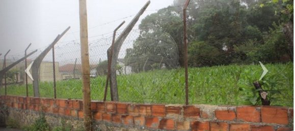 Grundstück in Oliveira de Azemeis, Portugal 1828m², Nr. 90412 6