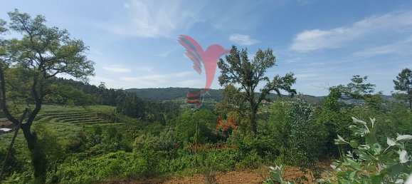 3551m² Land in Amarante, Portugal No. 56660 5