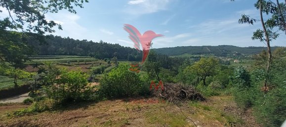 3551m² Land in Amarante, Portugal No. 56660 2