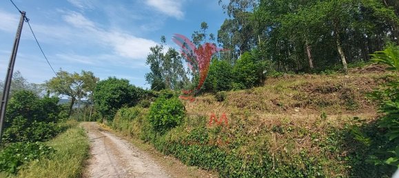 3551m² Land in Amarante, Portugal No. 56660 12