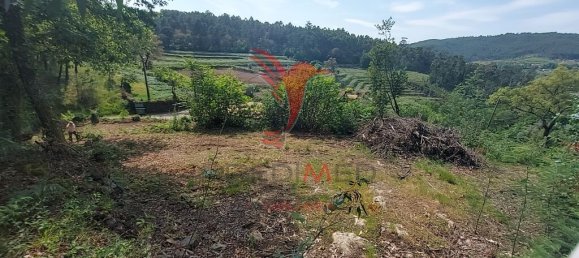 3551m² Land in Amarante, Portugal No. 56660 3