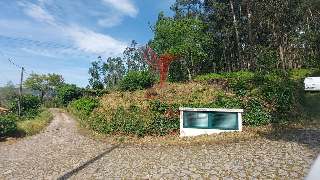 3551m² Land in Amarante, Portugal No. 56660