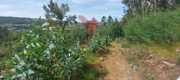 3551m² Land in Amarante, Portugal No. 56660 4