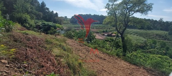3551m² Land in Amarante, Portugal No. 56660 6