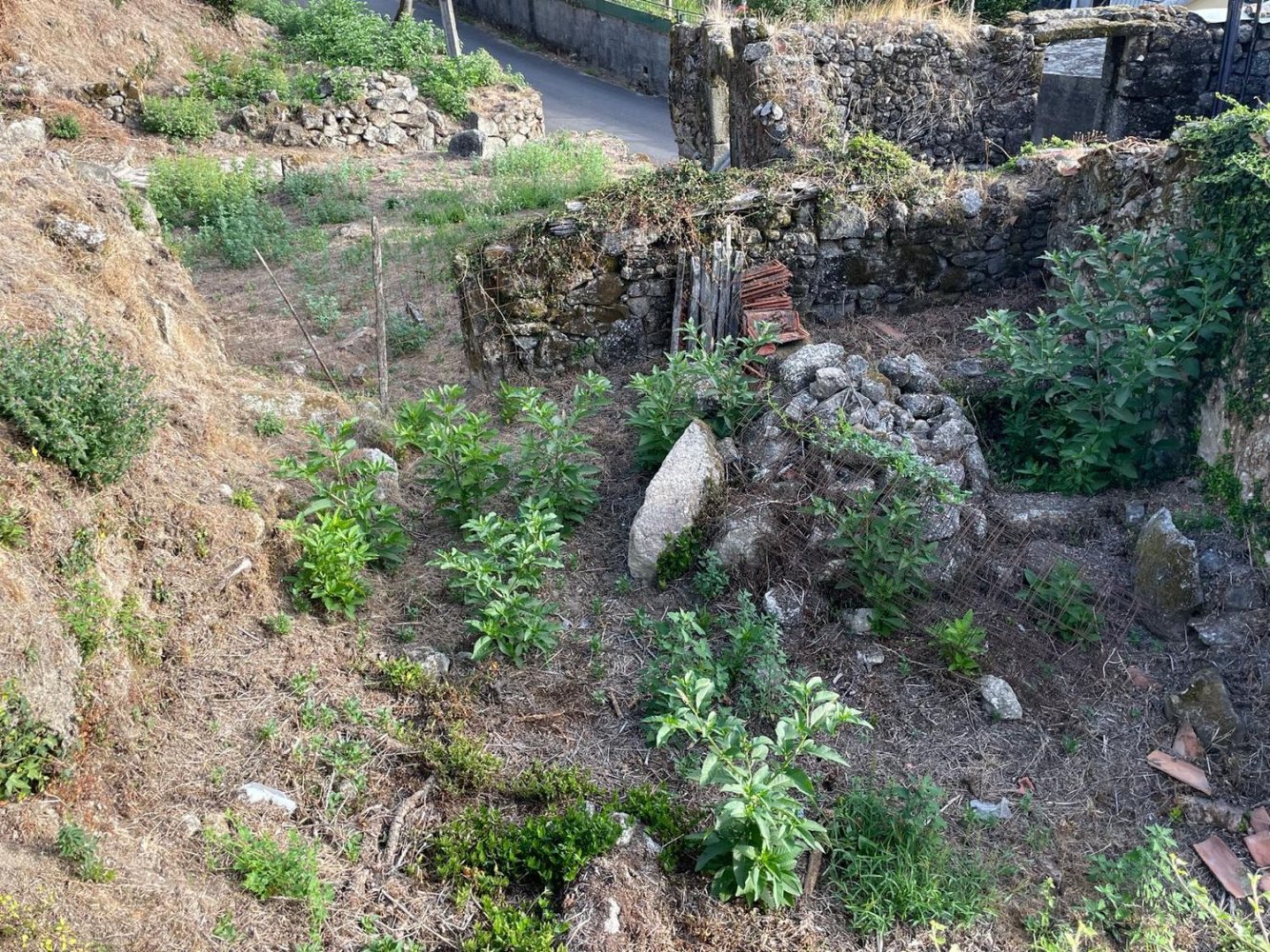 3 Schlafzimmer Haus in Ponte da Barca, Portugal, Nr. 174819