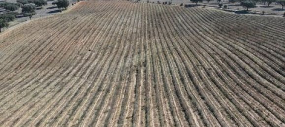 Terreno em Alandroal, Portugal N.º 147745 9