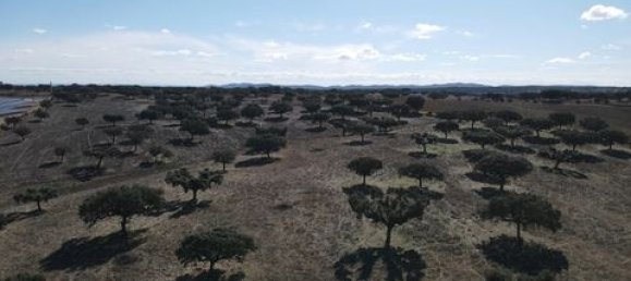 Terreno em Alandroal, Portugal N.º 147745 10