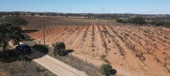 Terreno em Alandroal, Portugal N.º 147745 2