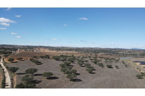 Terreno em Alandroal, Portugal N.º 147745