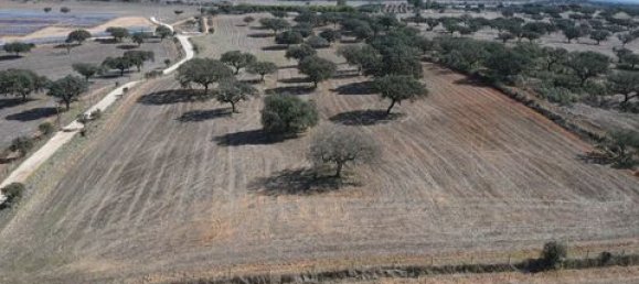 Terreno em Alandroal, Portugal N.º 147745 12