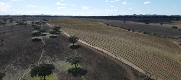 Terreno em Alandroal, Portugal N.º 147745 6