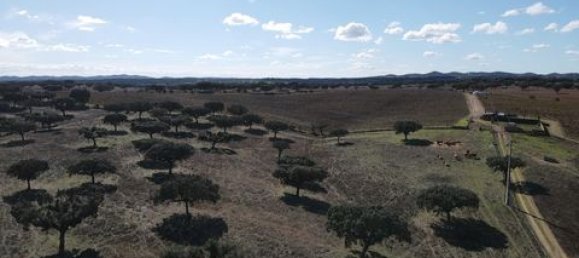 Terreno em Alandroal, Portugal N.º 147745 7