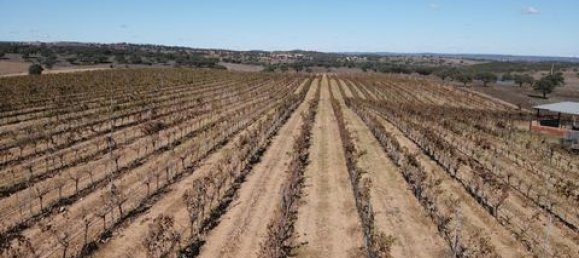 Terreno em Alandroal, Portugal N.º 147745 8