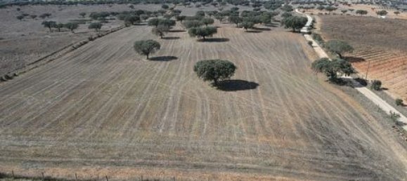 Terreno em Alandroal, Portugal N.º 147745 13