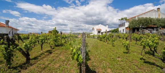 Casa de 3 dormitorios en Castelo Branco, Portugal No. 166486 28
