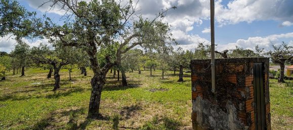 Casa de 3 dormitorios en Castelo Branco, Portugal No. 166486 32