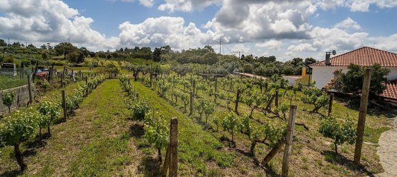 Casa de 3 dormitorios en Castelo Branco, Portugal No. 166486 26