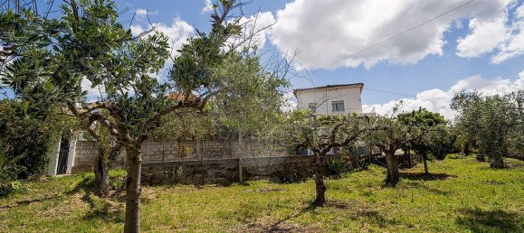 Casa de 3 dormitorios en Castelo Branco, Portugal No. 166486 33