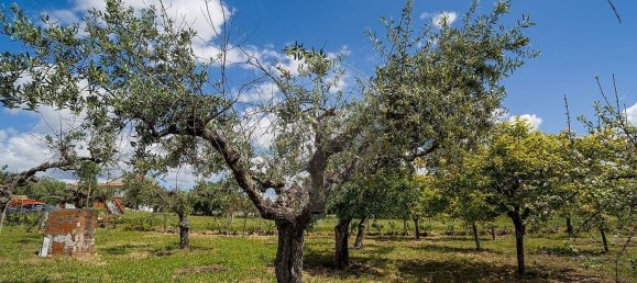 Casa de 3 dormitorios en Castelo Branco, Portugal No. 166486 45