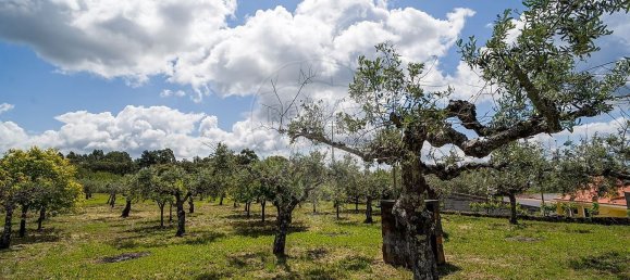 Casa de 3 dormitorios en Castelo Branco, Portugal No. 166486 34