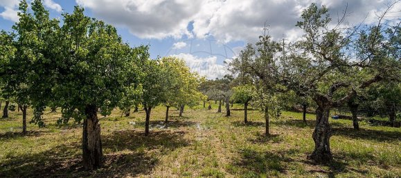 Casa de 3 dormitorios en Castelo Branco, Portugal No. 166486 29