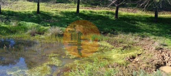 1 Schlafzimmer Grundstück in Castro Marim, Portugal, Nr. 137751 13