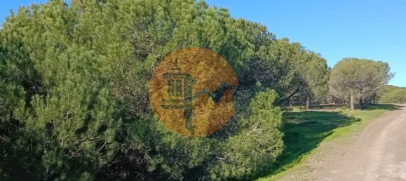 1 Schlafzimmer Grundstück in Castro Marim, Portugal, Nr. 137751 33