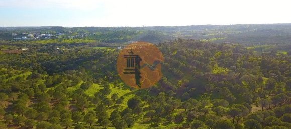 1 Schlafzimmer Grundstück in Castro Marim, Portugal, Nr. 137751 48