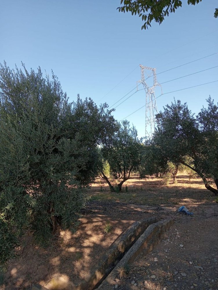Terreno en Albolote, Spain No. 279820