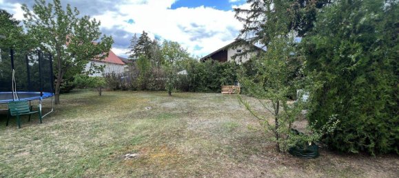 Terrain à Matzendorf-Holles, Austria 536m² No. 43631 7