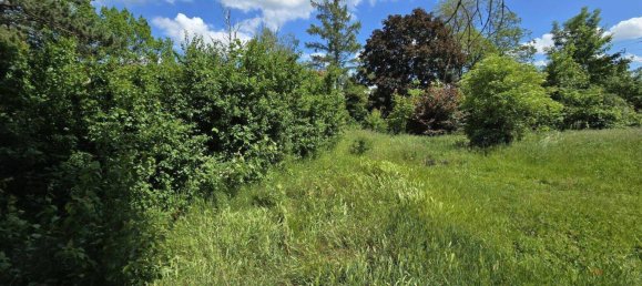 1171m² Land in Obersiebenbrunn, Austria No. 259982 3