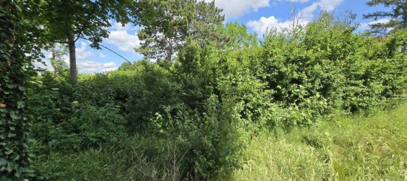 1171m² Land in Obersiebenbrunn, Austria No. 259982 2