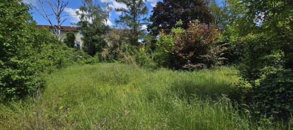 1171m² Land in Obersiebenbrunn, Austria No. 259982 4