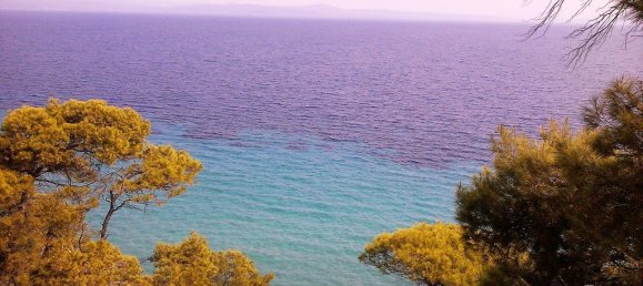 4 bedrooms Property in Chalkidiki, Greece No. 4645 26