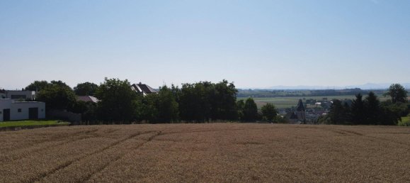 4-Zimmer Wohnung in Kematen an der Krems, Austria, Nr. 257806 5