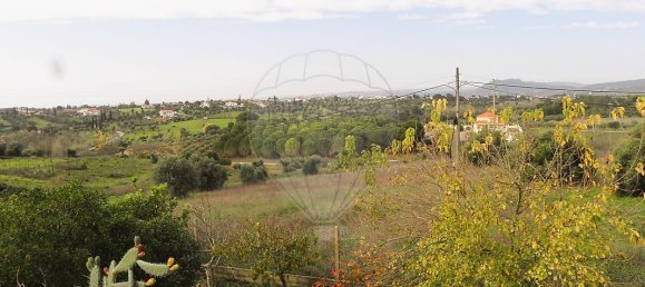 2 bedrooms House in Torres Novas, Portugal No. 68465 23