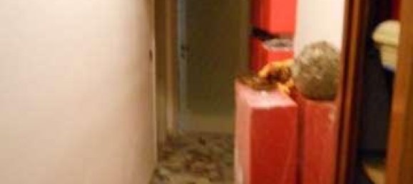 5 rooms Apartment in Florence, Italy No. 32990 15