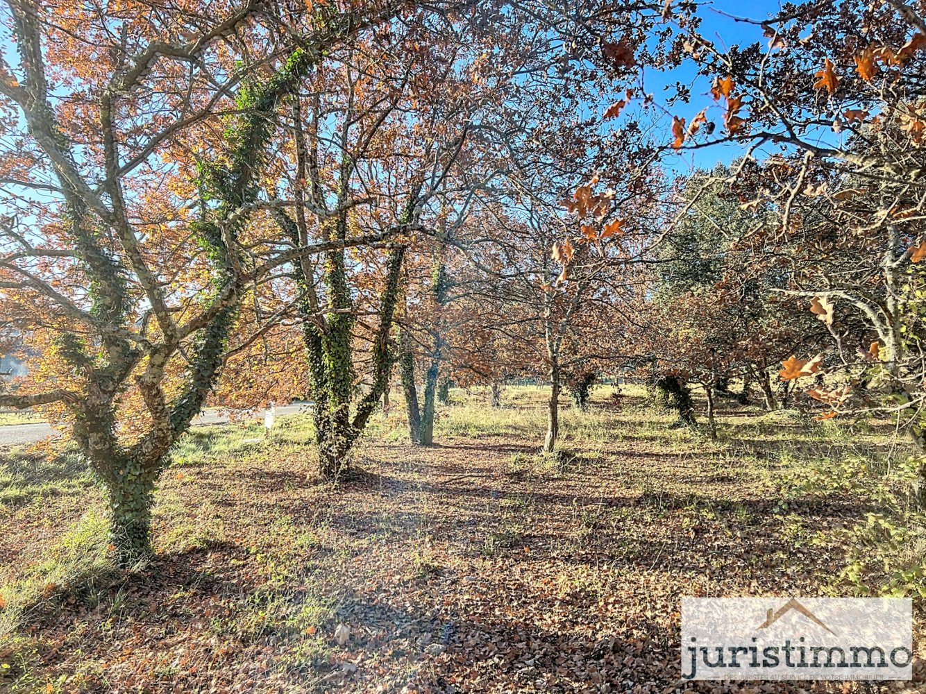  Land in Entrechaux, France No. 59775