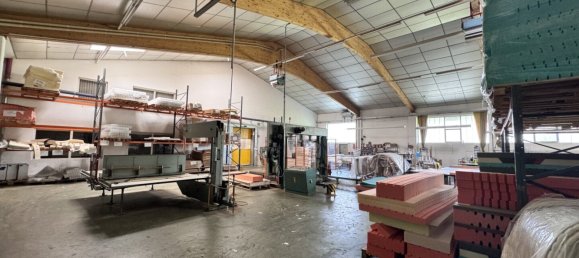  عقار تجاري في Timelkam, Austria 1468متر مربع رقم 204549 34