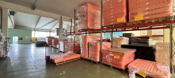  عقار تجاري في Timelkam, Austria 1468متر مربع رقم 204549 21