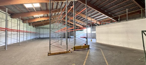  عقار تجاري في Timelkam, Austria 1468متر مربع رقم 204549 19