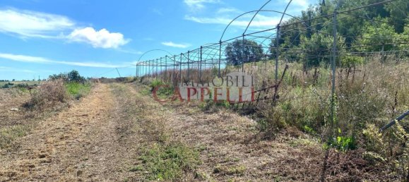 415m² Warehouse in Civitella di Romagna, Italy No. 365097 11