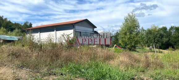 415m² Warehouse in Civitella di Romagna, Italy No. 365097 12