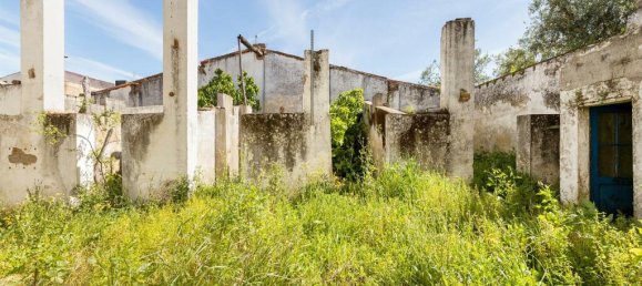 Lagerhaus in Reguengos de Monsaraz, Portugal, Nr. 145712 50