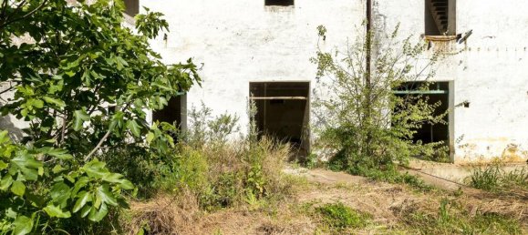 Lagerhaus in Reguengos de Monsaraz, Portugal, Nr. 145712 18