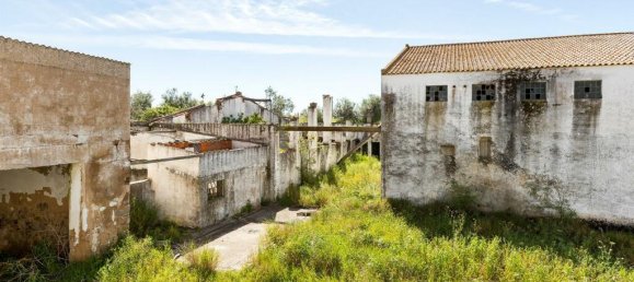 Lagerhaus in Reguengos de Monsaraz, Portugal, Nr. 145712 48